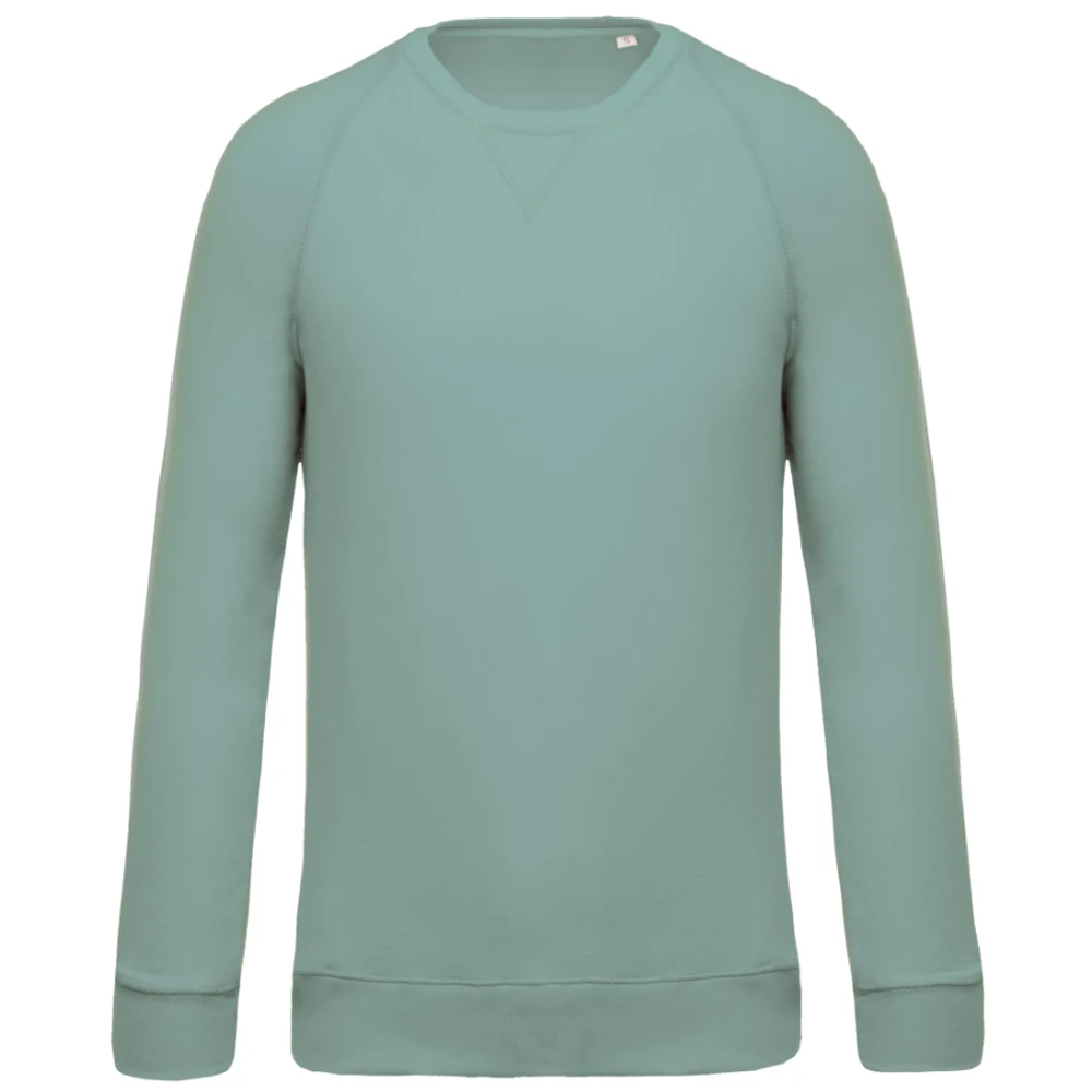 Sweat-shirt Bio col rond raglan